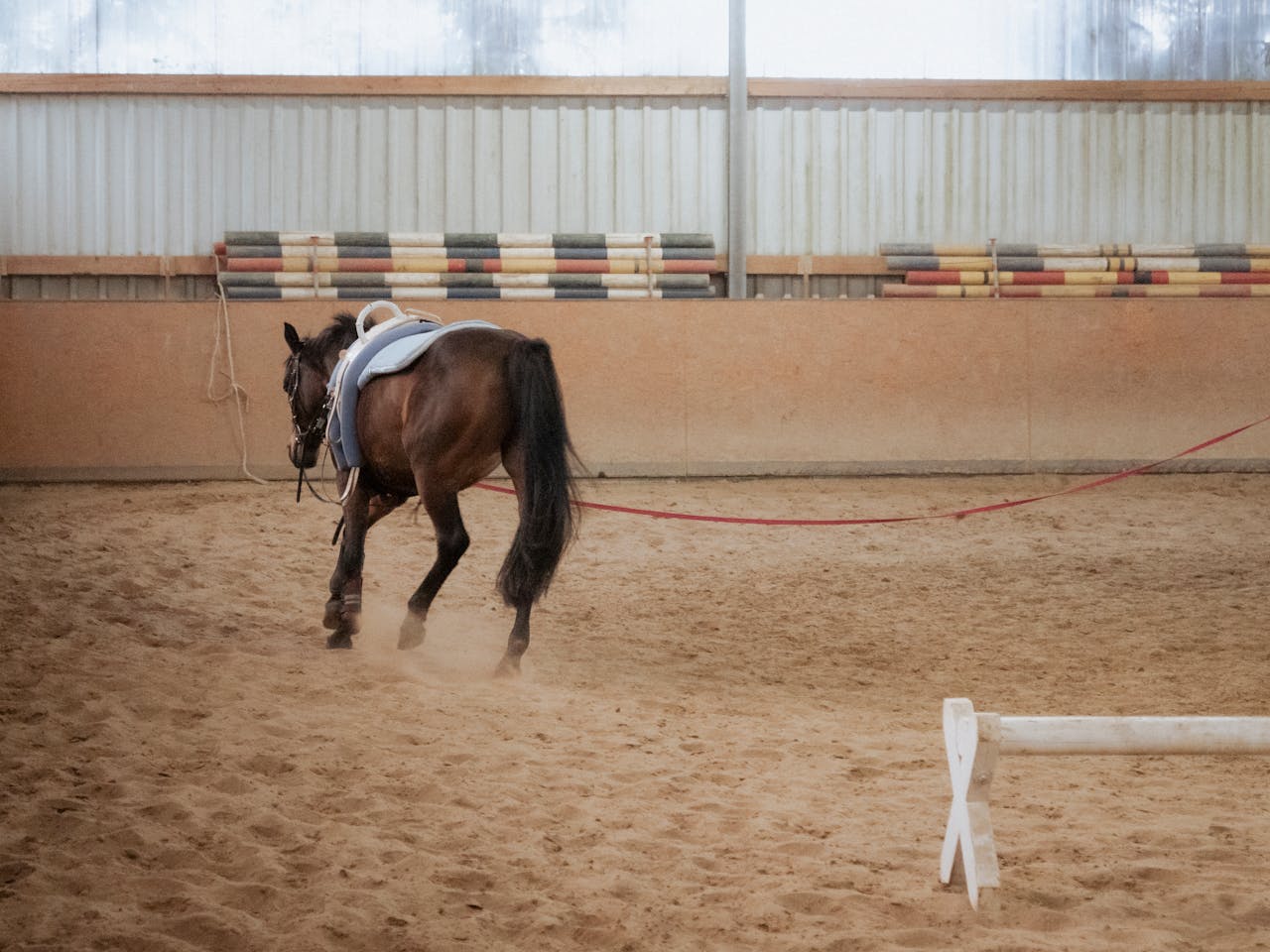 about-us-02 A horse practicing in an indoor sand arena, showcasing equestrian training techniques.
